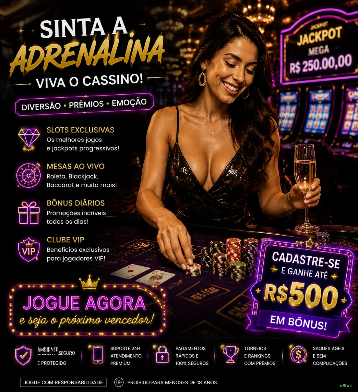 Suporte Login